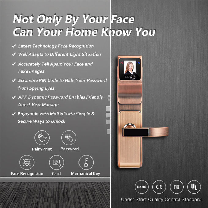 family를 위한 똑똑한 3D 적외선 얼굴 인식 문 손잡이 자물쇠와 Company 0