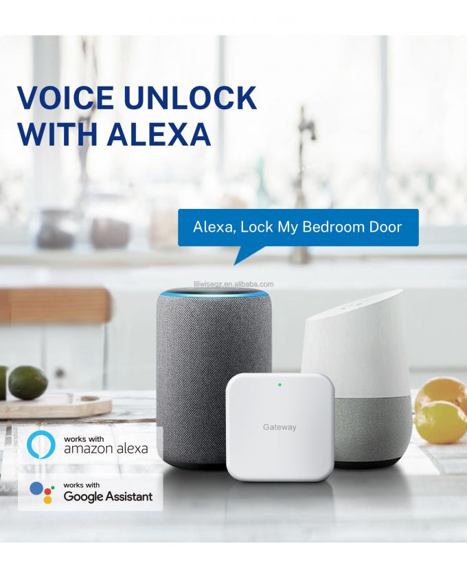 손자문과 키패드를 가진 Tuya WiFi BLE 스마트 도어 잠금 4