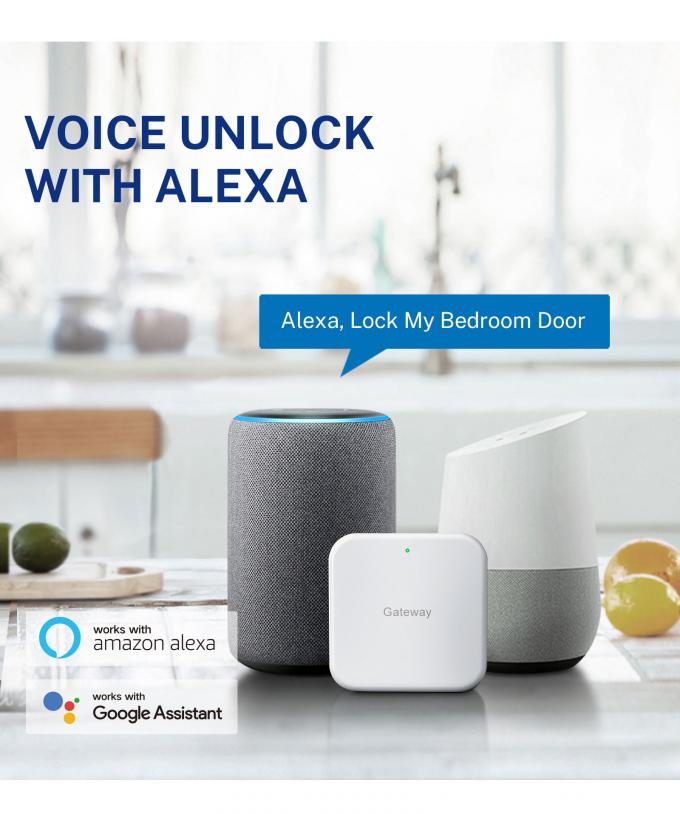 리리위즈 신디자인 완전 자동 잠금 디지털 전자 지문 잠금 투야 APP TTlock 스마트 도어 잠금 24