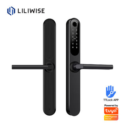 릴리위즈 방수 알렉사 알루미늄 스틸 Ip66 스마트 문 잠금 지문 표기 첼라두라 일렉트로니카 Ttlock 스마트 잠금 와이파이