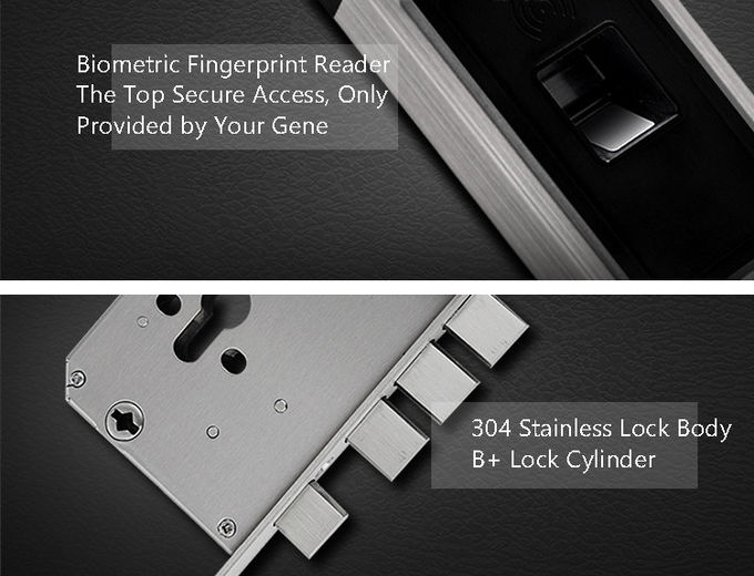 스테인리스 지문 자물쇠 RFID 카드 간단한 현대 광학적인 감지기 2