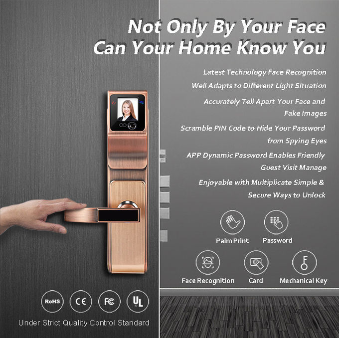 가정 사무실을 위한 지적인 얼굴 인식 자물쇠 지원 IC 카드 0